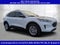 2022 Ford Escape SE Hybrid