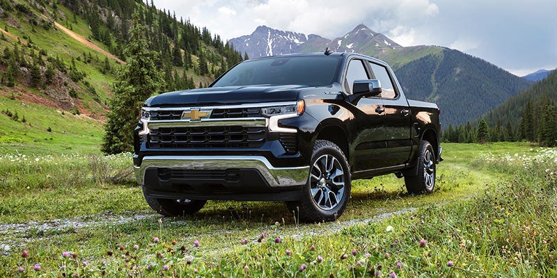 A 2019 Chevrolet Silverado driving on a rugged dirt road surrounded by trees and natural scenery.